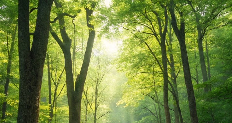 Whatsapp Image 2026 01 30 At 5.15.36 Pm