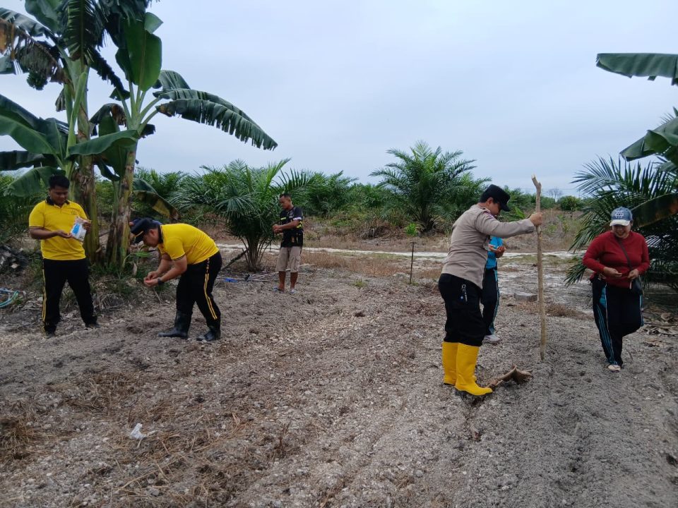 Whatsapp Image 2026 02 06 At 3.13.55 Pm