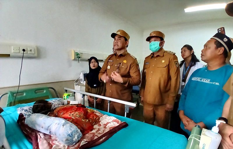 11699986 2203 41a5 Af8d 11f7db5c890c