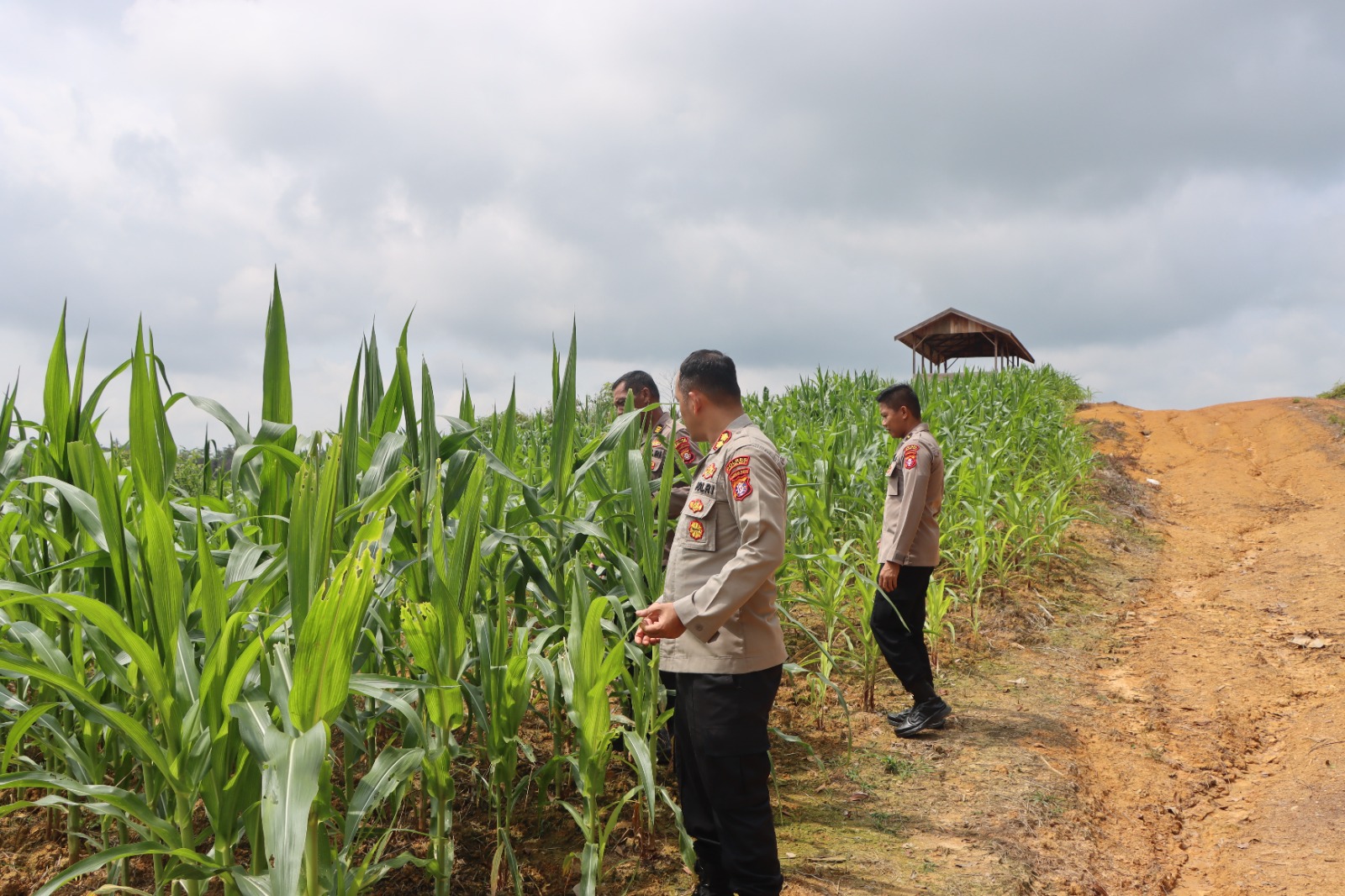 Whatsapp Image 2026 03 26 At 12.48.16 Pm