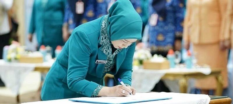 D1856b46 359e 481d 8f6e 8b90ed2e1371