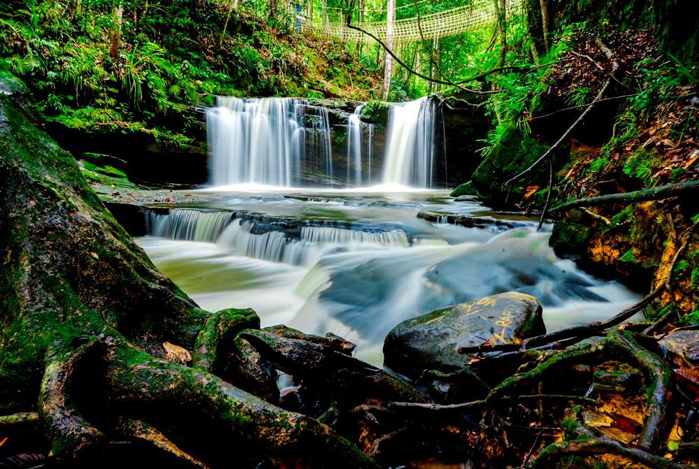 Ffd43357 23ed 483d 81e1 E7245e3c0699